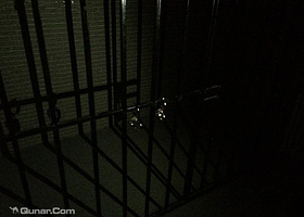 逃立方真人密室逃脱 