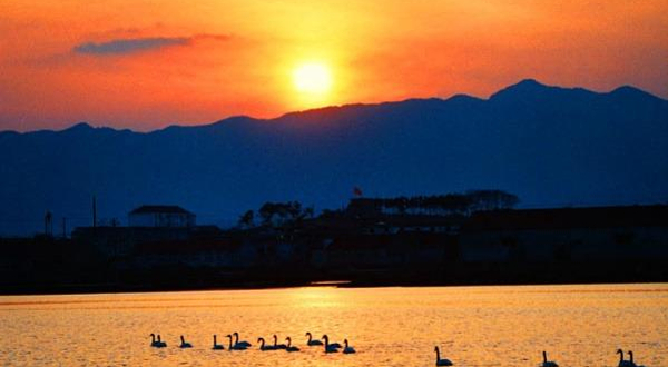 天鹅湖亲海游乐园-已下线