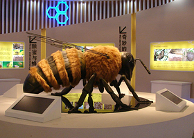 中国蜜蜂博物馆