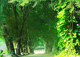 松田岗休闲农场