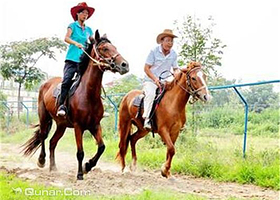 夏县骑马场