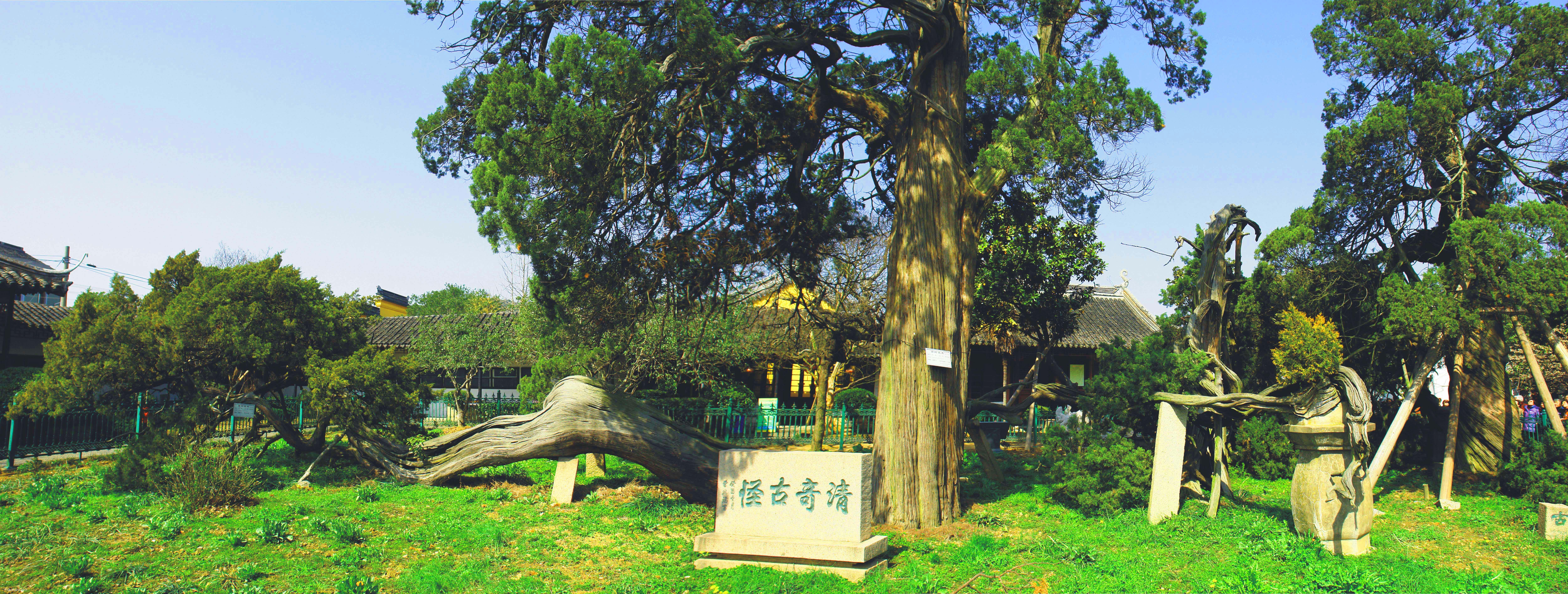 南京周边推荐_南京苏州旅游地点_南京周边景