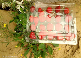 爱有机永安农场