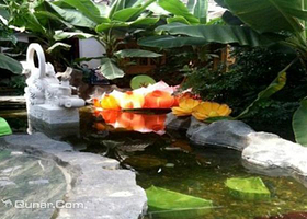 荒漠绿洲生态园