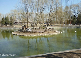 金T湖畔青蛙高尔夫练习场