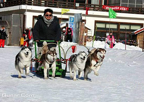 朝阳公园小马冰雪奇园