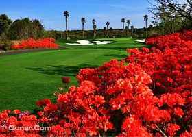 四圣高尔夫乡村俱乐部