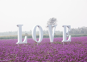 绿野仙踪.薰衣草庄园