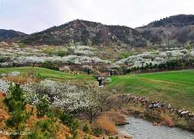 翠园高尔夫俱乐部