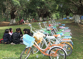 大夫山缘缘骑行