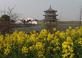 南汇滨海世外桃源