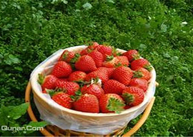 鑫聚金香草莓采摘园