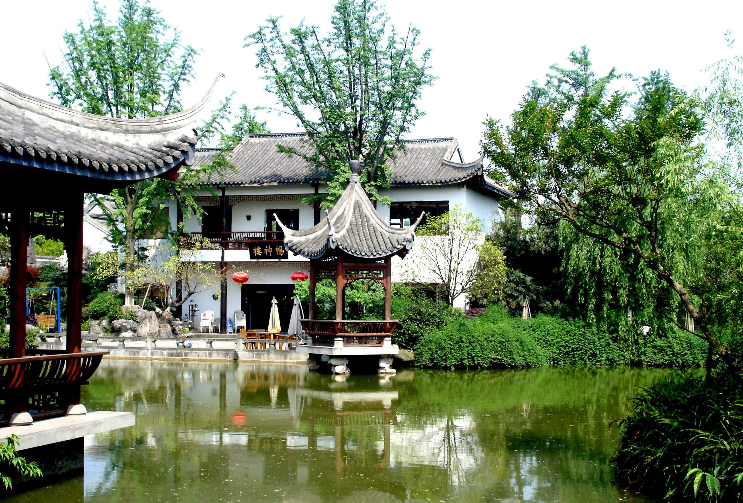 竹叶青生态茗园