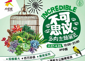 不可思议多肉主题展览