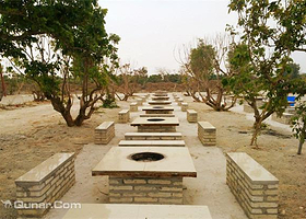 野趣园开心农场