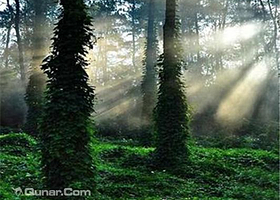 白鹿春养生科普生态园