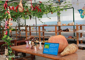 中国儿童少年地子自然体验基地