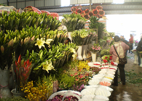 岔街1号花卉市场