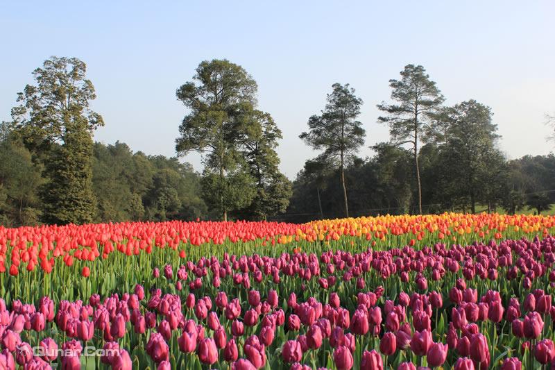 成都周边自然风光推荐_成都旅游地点_成都周
