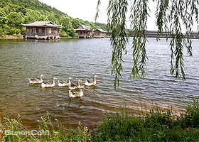 大石山旅游农庄