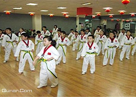 瑞泽跆拳道