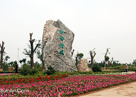 忻州九龙岗森林公园