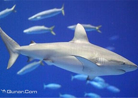 海洋馆（淮南店）