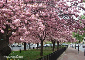 武汉恒河生态园