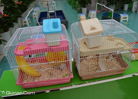 小小生态儿童乐园