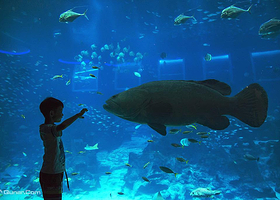 新加坡海洋生物园