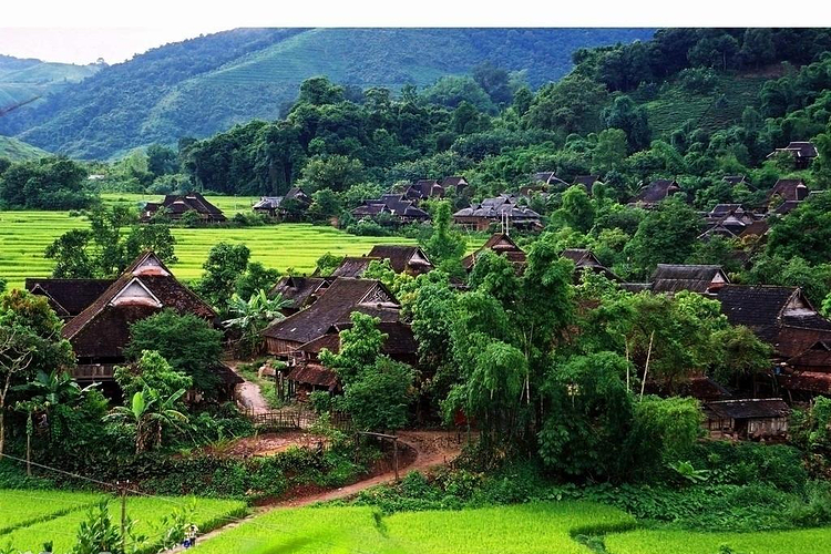 基诺山旅游报价_去基诺山旅游多少钱_基诺山旅游团景点-去哪儿网