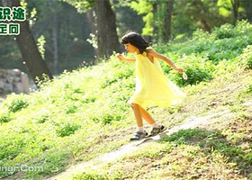 小马识途（圆明园）