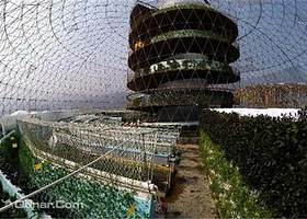 骏丰特色果蔬精品园