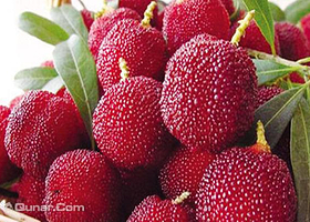 梁弄天子庵杨梅园