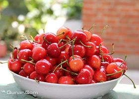 崂山北宅东乌衣巷山涧樱桃园