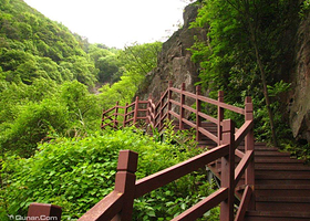 武汉九峰山森林公园