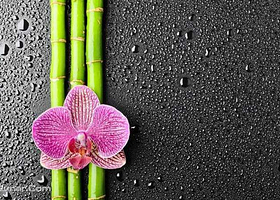 巴厘岛金巴兰四季度假村Spa