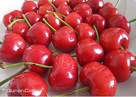 樱属于你樱桃园