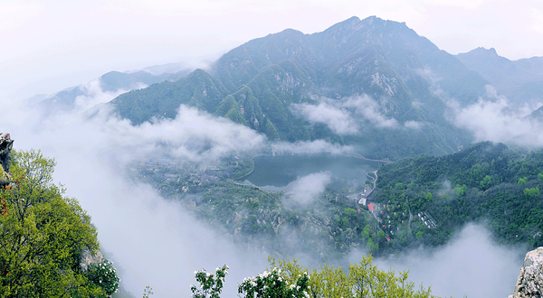 翠华山