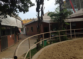 陈蓝马术俱乐部