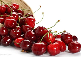 章丘市刁镇道口樱桃园