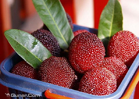 西山原生态采摘园