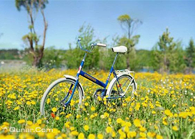 鑫源自行车出租行