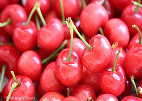 洁力士樱桃采摘园