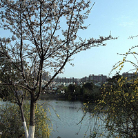 百合山生态公园