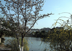 百合山生态公园