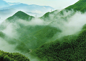 十里竹海大峡谷