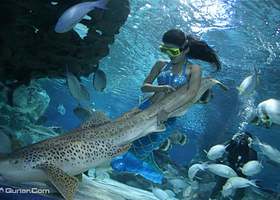 包头市蓝海马海底世界