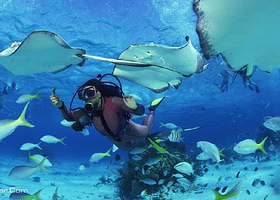 涠洲岛潜水