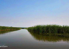 千鹤岛湿地公园